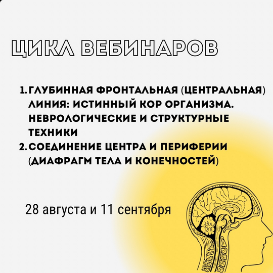 [Александр Волоткевич] Глубинная фронтальная линия_0.png